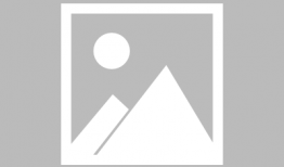 娱乐圈吃瓜婆,揭秘吃瓜婆背后的真相与内幕