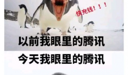 吃瓜爆料平台官网qq,QQ背后的秘密世界