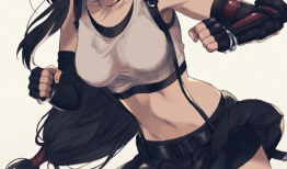 蒂法动漫,动漫中的冷艳女战士与她的传奇故事